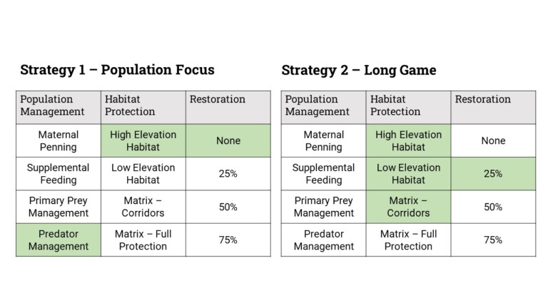 Strategy Tables - Structured Decision Making
